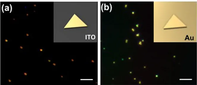Figure 4.5: (a) and (b) show dark field images of Au cavities on ITO-covered glass and Au thin film respectively