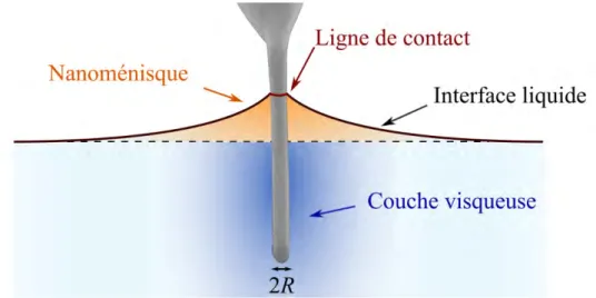 Figure 0.3  Représentation schématique des diverses contributions lors de l'immer- l'immer-sion partielle d'une sonde AFM cylindrique dans un liquide.