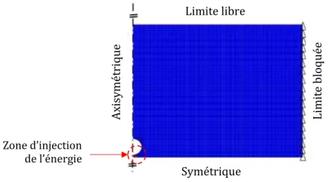 Figure I-16 Les conditions limites et le maillage de la géométrie pour les « grandes » électrodes  (représentées en demi-sphère) [CHE14] 