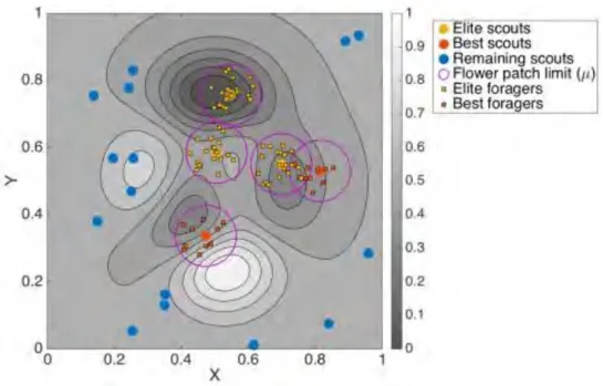 Figure 2.12: Random distribution of forager bees about flower patches. Elite and best flower patches have 20 and  10 forager bees, respectively (