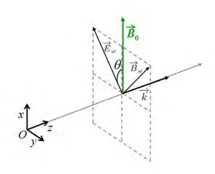 Figure 1.7  Schéma décrivant la propagation d'un faisceau linéairement polarisé se propageant suivant la direction du vecteur ⃗k
