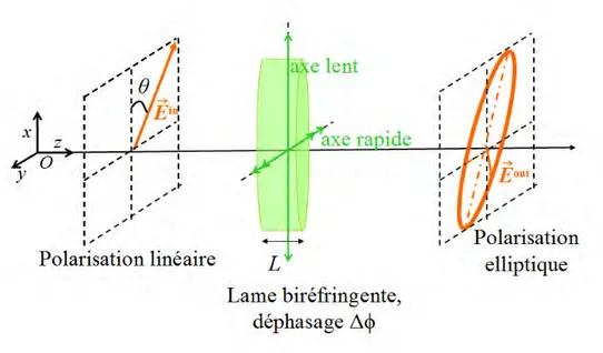 Figure 2.1  Propagation suivant l'axe ⃗ Oz d'un faisceau lumineux linéairement polarisé