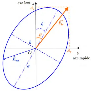 Figure 2.2  Présentation des états de polarisation incidente ⃗ E in et émergente ⃗ E out du