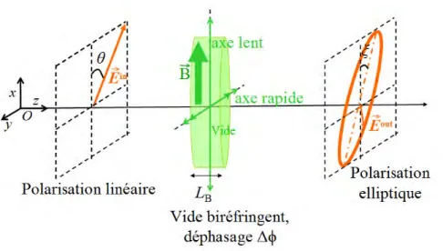 Figure 2.3  Présentation des états de polarisation incidente ⃗ E in et émergente ⃗ E out du