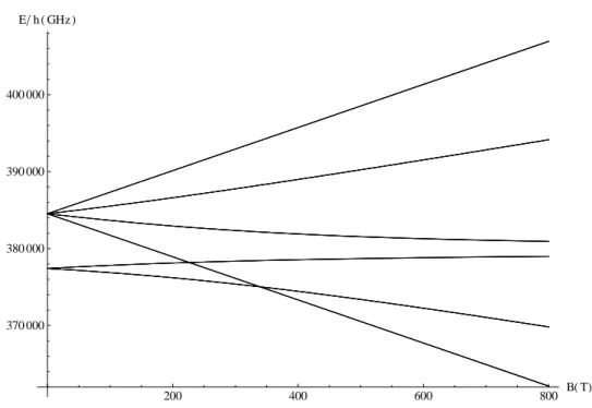 Figure 2.4: Energy level diagram showing the ne Paschen-Back eect for