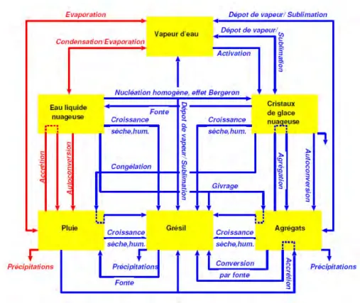 Figure II.2 – Diagramme des processus microphysiques repr´ esent´ es par le sch´ ema