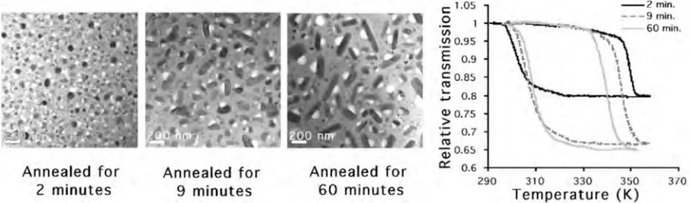 Figure I.23 – (a-c) Images de microscopie électronique d’un précipité de VO 2 dans une