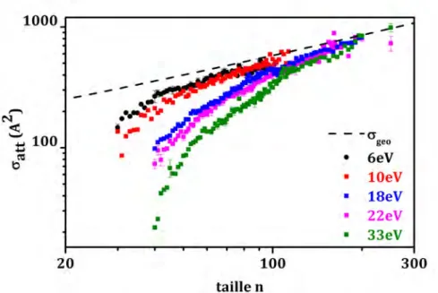 Figure 2.12 – Sections efficaces absolues d’attachement σ att d’une molécule d’eau sur un agrégat