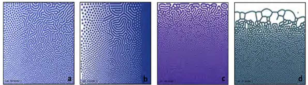 Figure 1.24 – Solutions à paramètres variables dans l’espace. a) Variation des constantes de diffusion