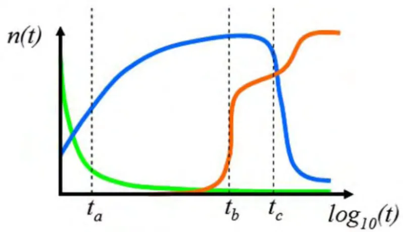 Figure 2-2: Evolution temporelle de la densité des espèces verte, bleue et orange