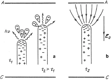 Figure 1-13 : (a) streamer négatif à deux temps consécutifs. Les flèches ondulées représentent les photons  émis par la tête du streamer