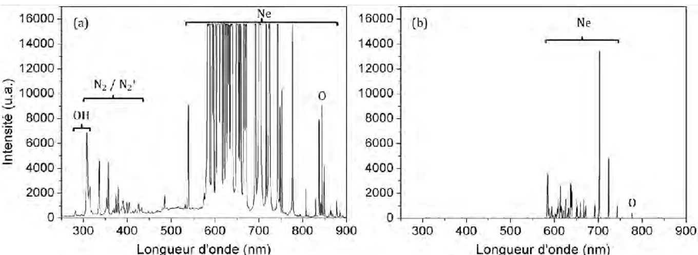 Figure 2-4 : exemples de spectres du néon obtenus à 2,3 L.min -1  et 1400 V, avec des temps d’intégration de 4s 