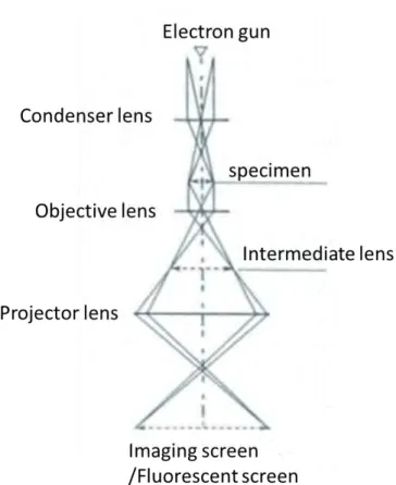 Figure 3.11: Schematic illustration of a transmission electron microscope.   The TEM column is described as: 