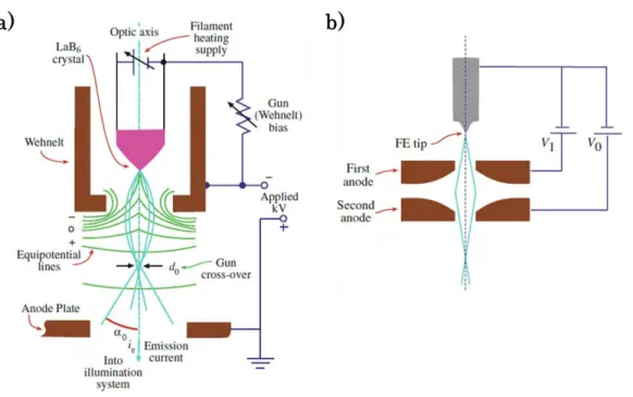 Figure 3.12: Schematic illustration of a) the thermoionic Gun principle  and b) the field emission gun FEG [09 Williams and Carter]