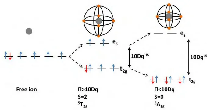 Figure 1.1: Electronic configuration of the two possible ground states for iron(II) ion in an octahedral complex.
