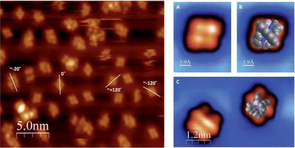 Figure 1.38: SEM image of several isolated molecules in different orientations (left panel)