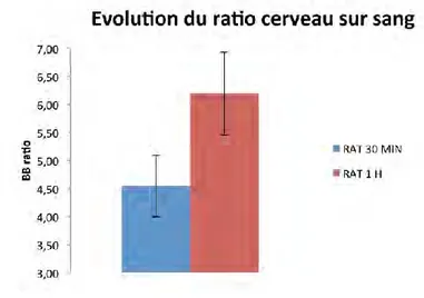 Figure 35 : Evolution du ratio cerveau sur sang (calculé grâces aux mesures de l’activité [ 18 F]-FNM dans des échantillons sanguins et  cérébraux) après injection du radiotraceur et mesure entre 30 et 60 minutes après injection du traceur