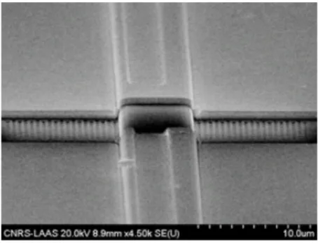 Figure 1.11 – Image MEB du miroir intra-cavité à base de cristaux photoniques 2D, d’après [34]