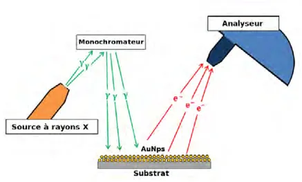 Figure 2.2 – Schéma du dispositif expérimental incluant le système XPS Thermo