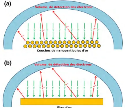 Figure 2.3 – Géométrie des simulations Monte-Carlo Geant4 pour les couches de