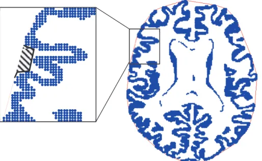Figure  3.d:  Manteau  cortical  (en  bleu)  et  enveloppe  convexe  (trait  rouge) ;  dans  cet  exemple,  l’enveloppe  convexe  de  la  surface  corticale  externe  est  déterminée  par  la  méthode  “Quick  Hull”  (Barber  et  al.,  1996)