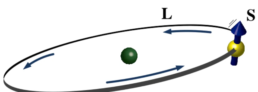Figure 1.1. Sketch representative of the two angular momenta associated to the electron: orbital  (L) and spin (S) angular momentum