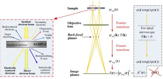 Figure 2.1 (Left) Signals generated by the electron beam-specimen interaction. (Center) Basic  schematic representation of the image formation by the objective lens in a TEM