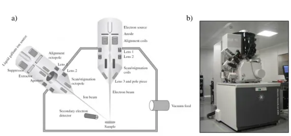 Figure 2.10. (a) Schematic diagram for the two-beams configuration in a DualBeam instrument  [60]