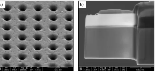 Figure 2.12. SEM images for (a) an antidot array and (b) a manganite-based TEM lamella