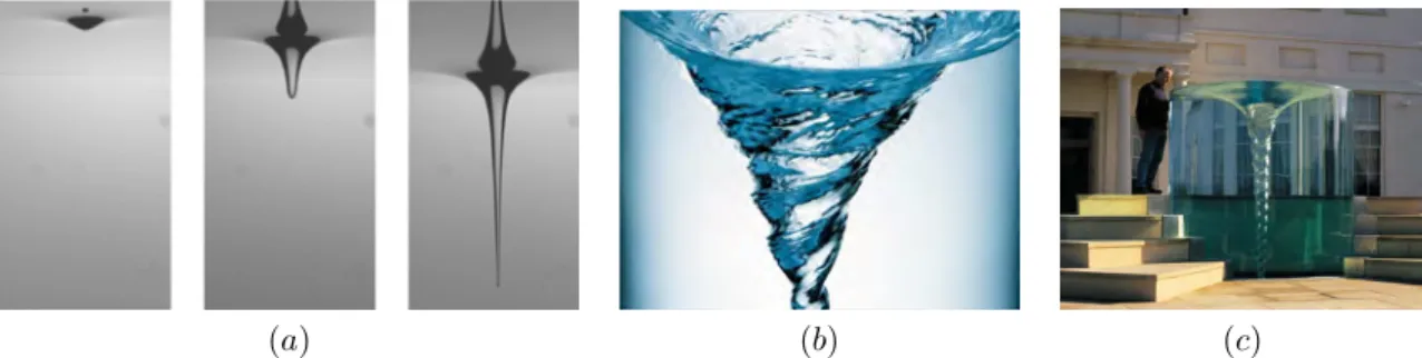 Figure 1.2 – Tourbillons de vidange. (a) Etude expérimentale de Andersen et al. (2003) ; (b) motifs obtenus dans une expérience simple constituée d’une bouteille d’eau en plastique dont le bouchon est percé ; (c) sculpture de fluide, Charybdis, oeuvre de William Pye.