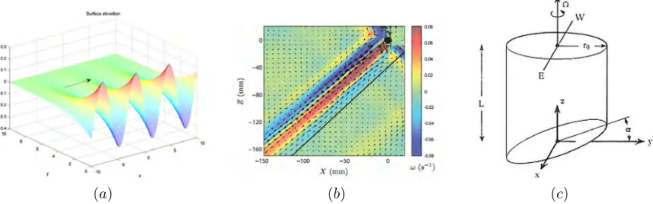 Figure 1.5 – Exemples d’ondes dans les écoulements tournants et à surface libre. (a) Structure d’une onde de coin se propageant le long d’une plage (élévation verticale) ; (b) visualisation  expéri-mentale d’une onde inertielle générée par l’oscillation d’