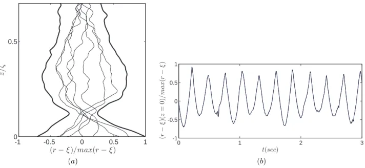 Figure 4.7 – (a) Ecart entre la position de la surface libre instantanée r(z, t) et sa valeur moyenne ξ(z)