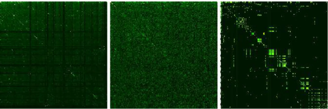 Figure 3.3: Images of a part of the G matrix for Human dna sequence network at m = 6 (left), Human proteome sequence at m = 3 (middle, see section 3.4) and Cambridge university 2006