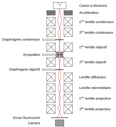 Figure II.2 – Schéma de la colonne d’un microscope électronique en transmission.