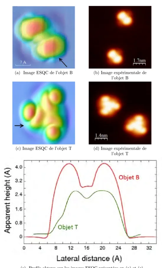 Figure II.13  Comparaison entre les images calculées par la méthode ESQC et les images expérimentales