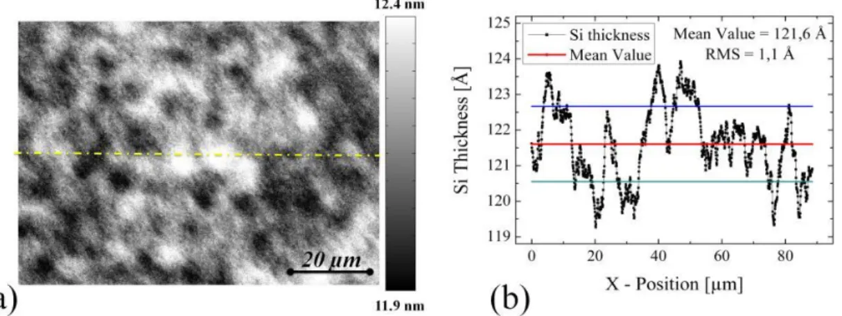 Fig. 1.28: DRM image obtained with a Zeiss Axiotron 2 microscope with a 100× magnification objective (N A = 0.9), using a green interferometric filter (515 nm) and a CCD camera (1292×968 pixels)