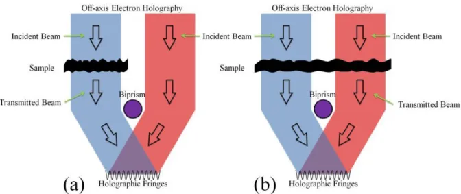 Fig. 1.30: Schematic illustration of the standard setup for off-axis electron holography using: (a) vacuum as zero phase-shift reference and (b) the mean phase-shift as reference.