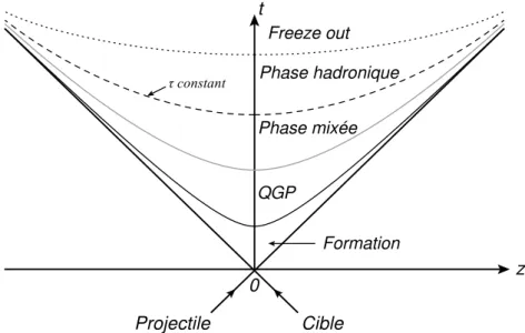 Figure 9. Représentation schématique d’ une collision d’ ion lourd formant que QGP, selon le scénario 