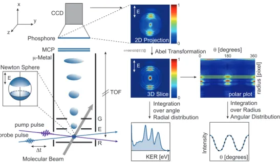 Figure 1.5: Schematic pump-probe VMI setup. The left part shows the electrode system with repeller (R), extrator (E) and ground (G) to accelerate the photo-products towards the detector which consists of a microchannel plate (MCP) a phosphor and a  charged
