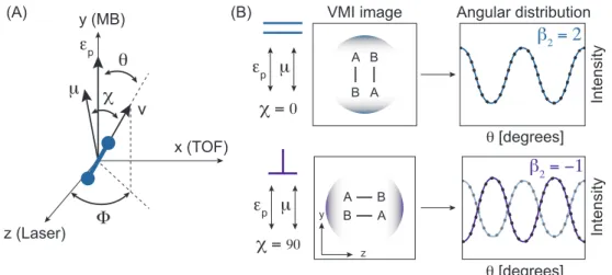 Figure 1.8: Photofragment spectroscopy – angular distribuiton. (A) Geometry. Axial recoil of a diatomic molecule is assumed