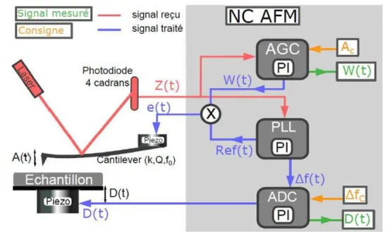 Figure 8 : Schéma de principe des différentes boucles d'un NC-AFM [34]