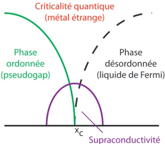 Figure 2.18  Vision schématique du diagramme de phase faisant intervenir un point critique quantique.