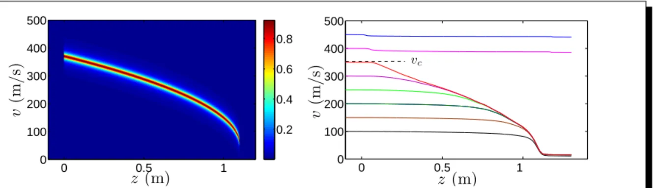 Figure 1.1: (a) Acceleration divided by the maximum acceleration in phase space.
