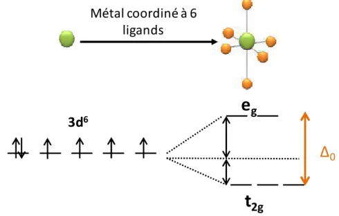 Figure  1-8 : Schéma des cinq orbitales atomiques d du Fe(II) dans le cas de l’ion isolé  (gauche) et dans le cas de l’ion complexé (droite)