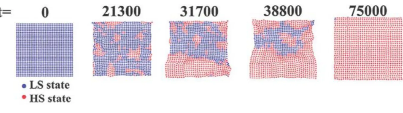 Figure  1-28 : Simulation de l’évolution temporelle de l’état d’un système sous photo excitation avec le modèle