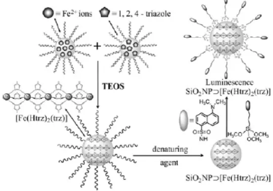 Figure 2.5: Synthetic route and schematic representation of the SCO/luminescence SiO 2 nanoparticles [68].
