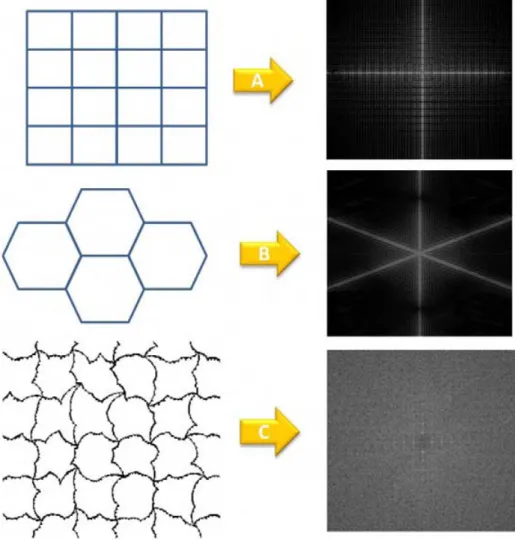 figure 17 : Illustrations de figures de diffraction liées à la forme des cuves 