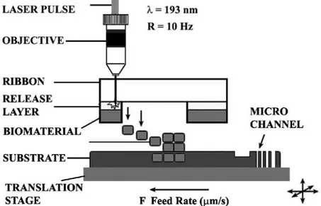 figure 34 : illustration du Maple DW ou Matrix Assisted Pulsed Laser Evaporation direct write [34] 
