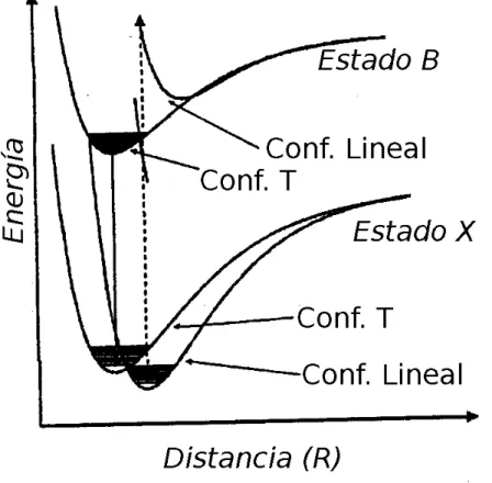 Figura 1.4: Esquema de la transición del estado electrónico X al B en un complejo