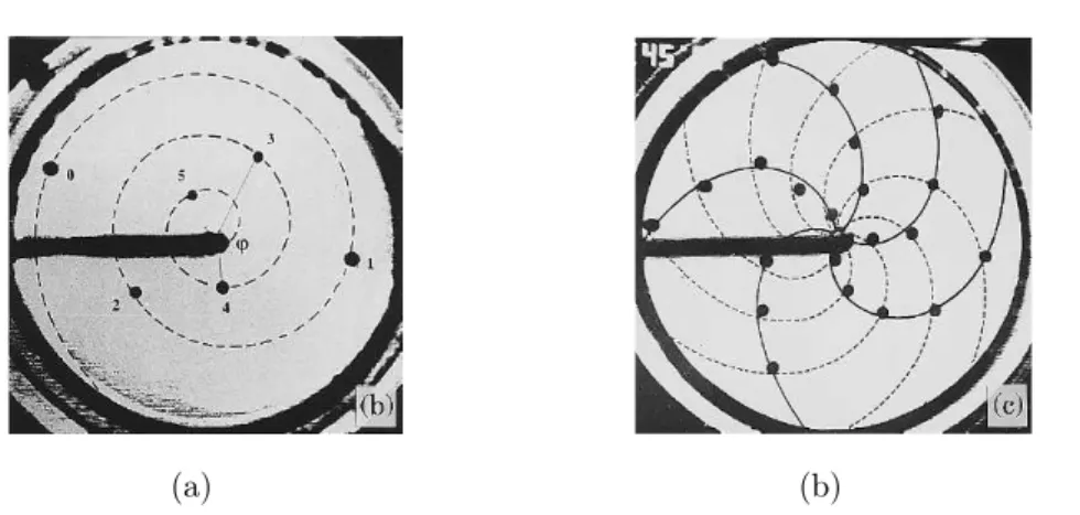 Fig. 1.7 – Expérience de Douady et Couder à quelques secondes d’intervalle. Les